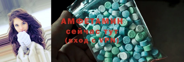гашик Алексеевка