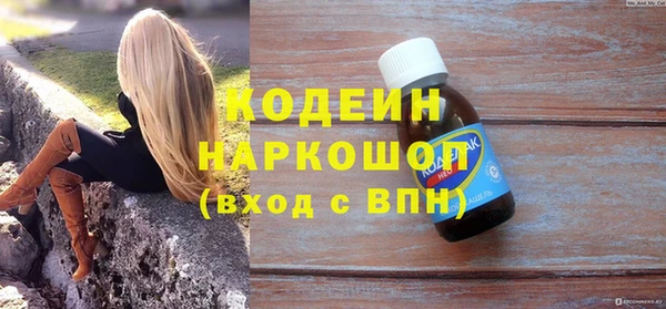 гашик Алексеевка