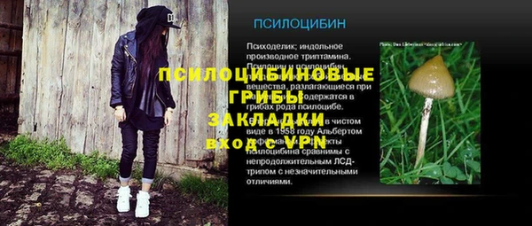 таблы Алзамай