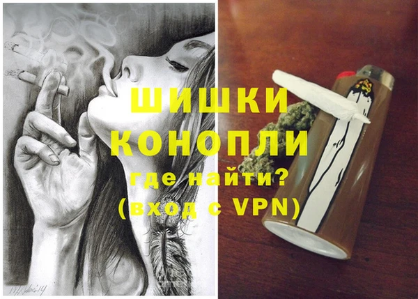 гашик Алексеевка
