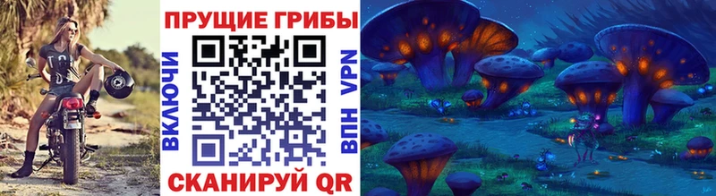 Псилоцибиновые грибы мухоморы  где продают наркотики  Поронайск 